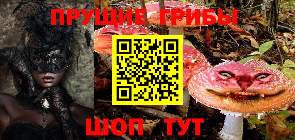Галлюциногенные грибы ЛСД  Вход с VPN  Кириши 